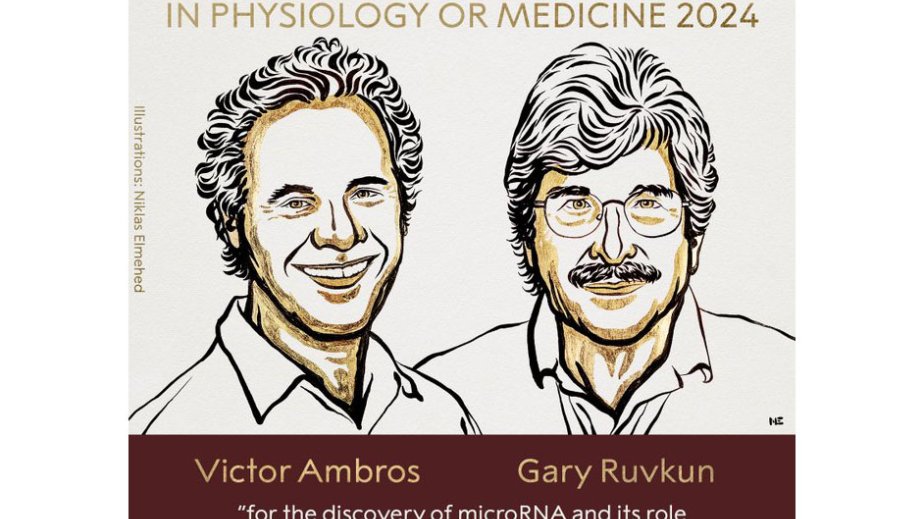 ELM və TƏHSİL:  Viktor Ambros və Qeri Ruvkun fiziologiya və tibb sahəsində Nobel mükafatına layiq görüldülər