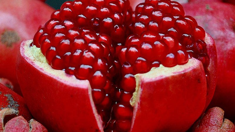 Saatlı narı Avropaya ixrac olunur