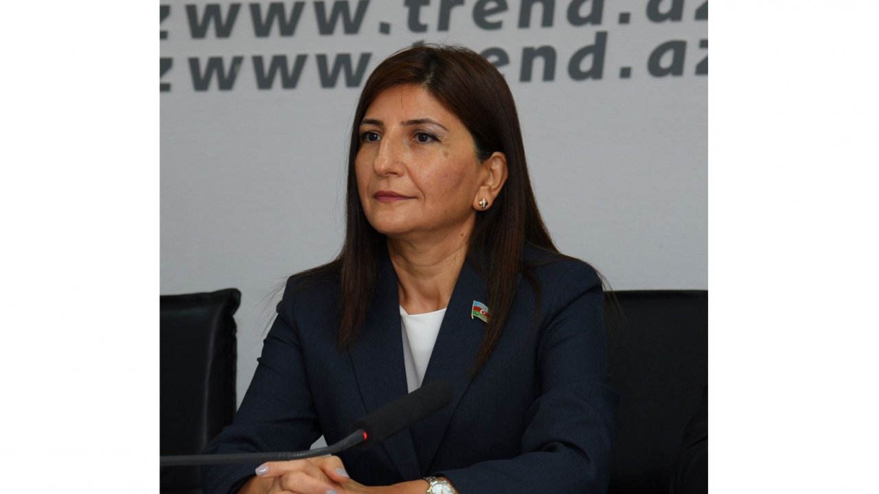 ABŞ Bakıda həbsdə olan separatçıların cinayətkar olduğunu çox gözəl anlayır - Sevil Mikayılova (VİDEO)