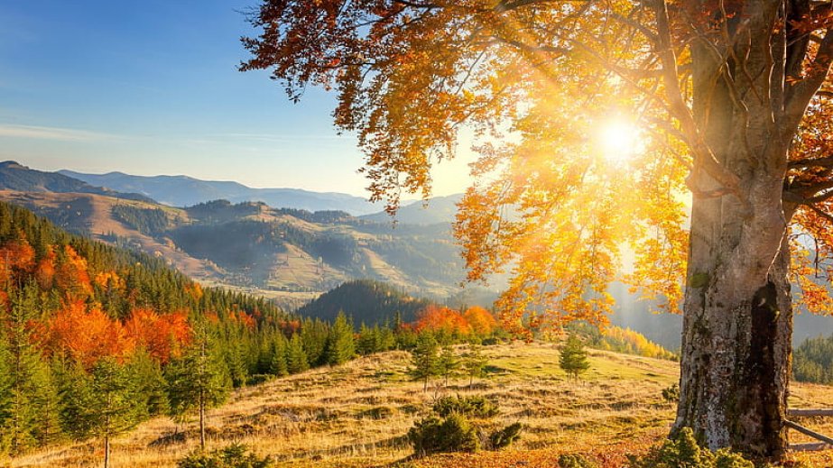 Sabah 30 dərəcə isti olacaq