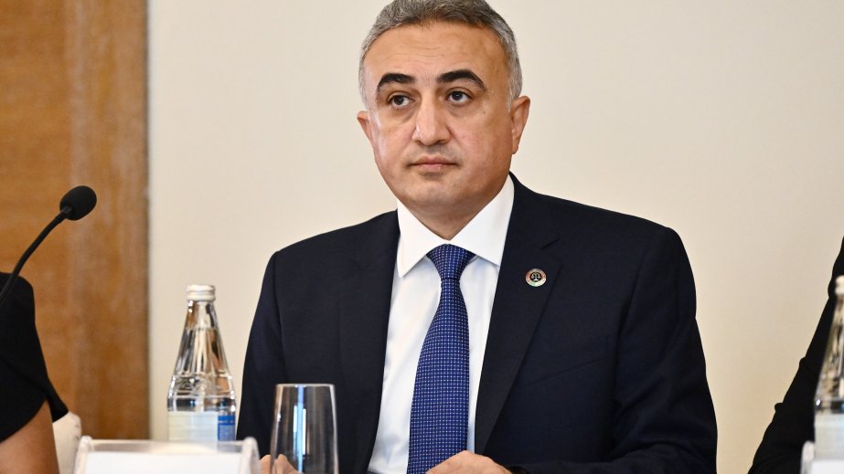 Anar Bağırov: Məişət zorakılığının qarşısının alınması kompleks yanaşma tələb edir