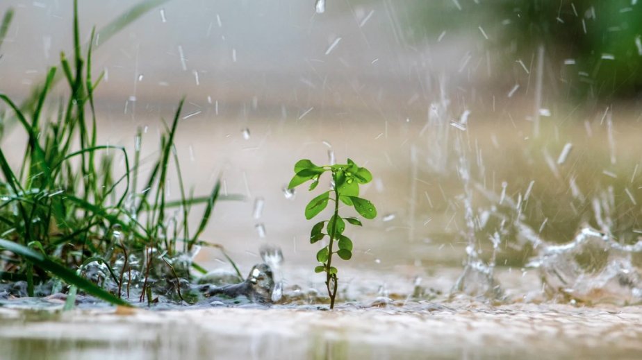 Hava dəyişkən buludlu olacaq, arabir yağış yağacaq, şimşək çaxacaq - Proqnoz