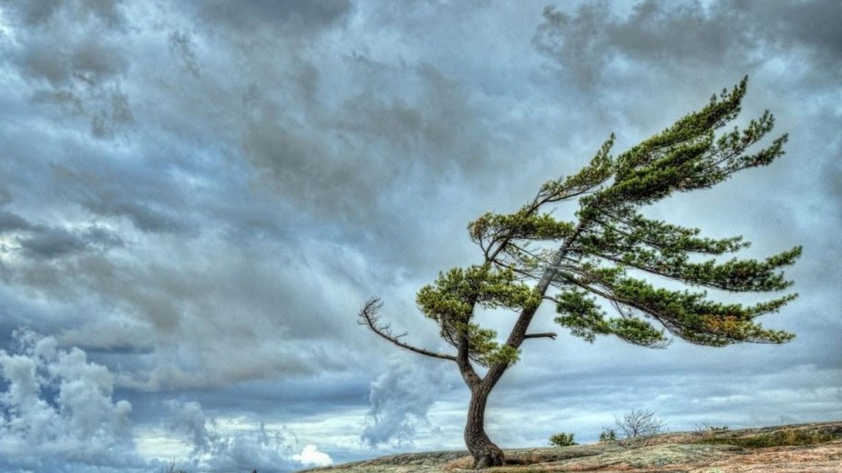 Növbəti üç gün güclü külək əsəcək - XƏBƏRDARLIQ