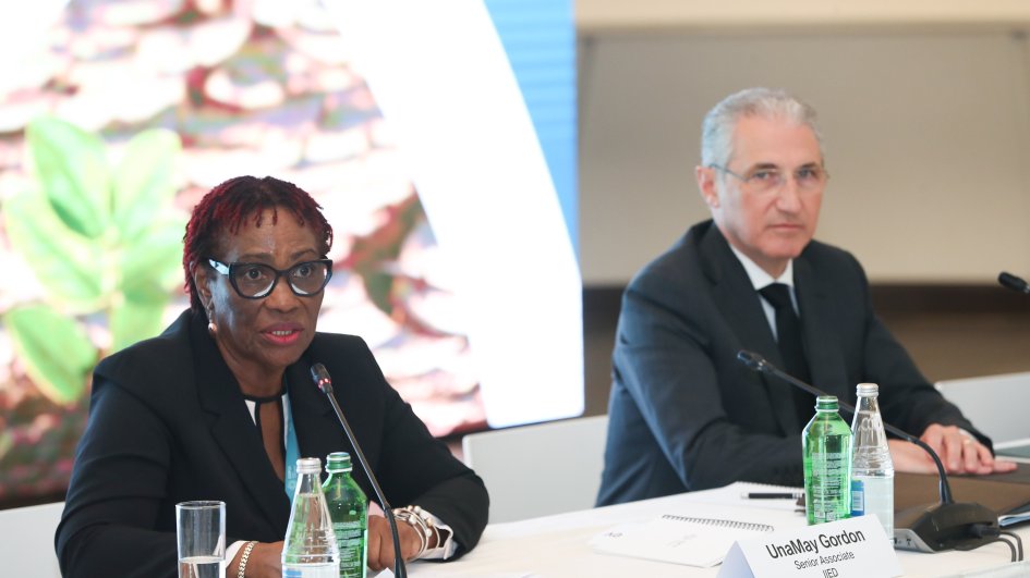 COP29: Bakıda keçirilən Pre-COP29 konfransına yekun vurulub