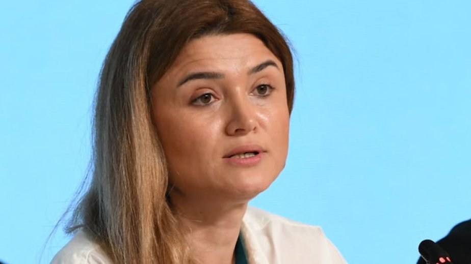 COP29-un keçiriləcəyi Bakı Olimpiya Stadionunda ərazi bölgüsünün necə aparıldığı açıqlanıb