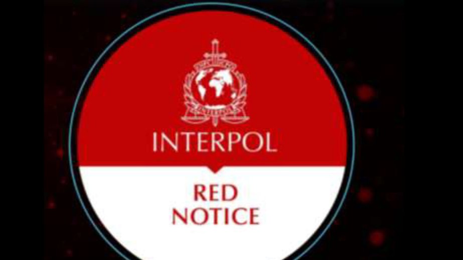 İsveçin 600 vətəndaşı İnterpol tərəfindən axtarışa verilib