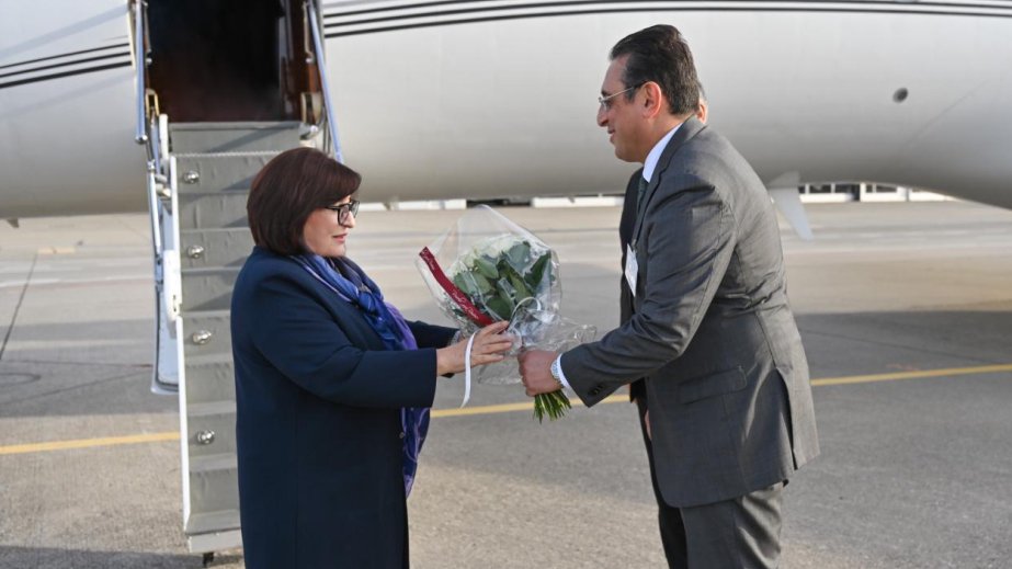Milli Məclisin sədri Sahibə Qafarova İsveçrəyə səfər edib