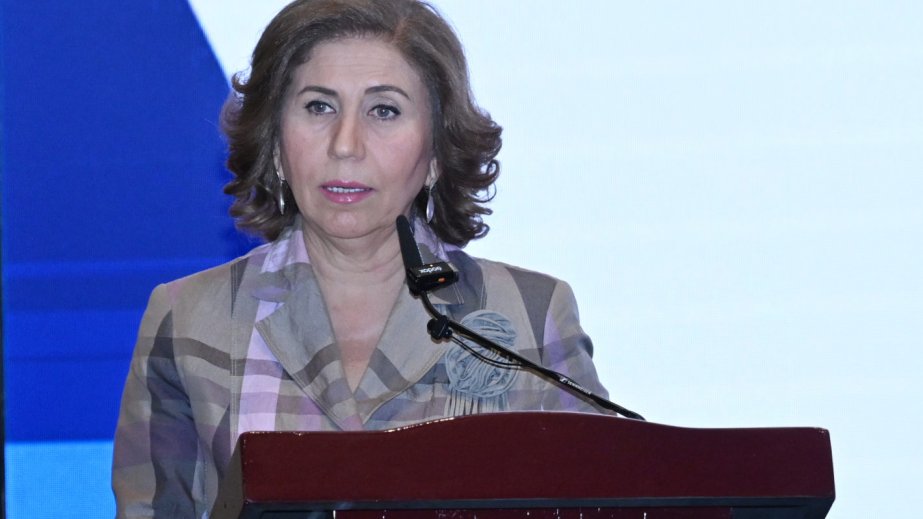 ELM və TƏHSİL: Komitə sədri: “Hənifə Məlikova-Zərdabi təqaüd proqramı”nı 265 nəfər qazanıb