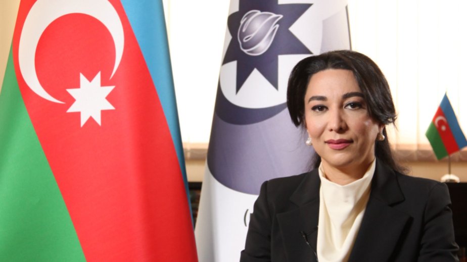 Ombudsman: Beynəlxalq ictimaiyyət Ermənistanın mina terroruna səssiz qalmamalıdır