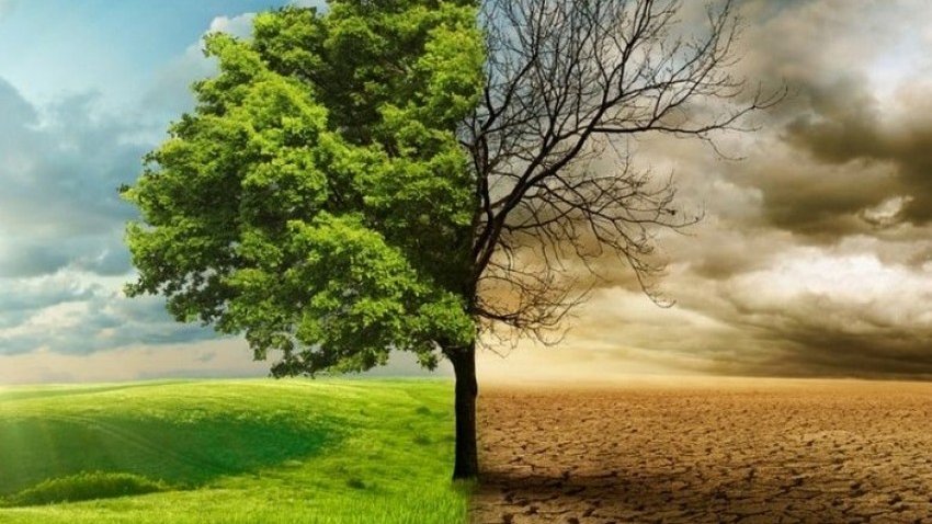 Politoloq: Qərb dövlətləri ikiüzlü siyasət yürütməklə iqlim problemlərini dərinləşdirir