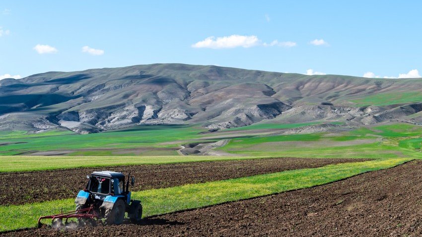 Qarabağ və Şərqi Zəngəzurdakı aqrar təyinatlı torpaqlar icarəyə veriləcək