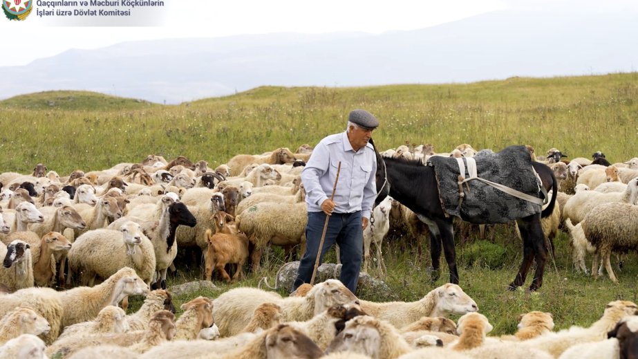 Dövlət Komitəsi insanları mina təhlükəsi ilə bağlı xəbərdarlıq nişanlarının tələblərinə əməl etməyə çağırıb