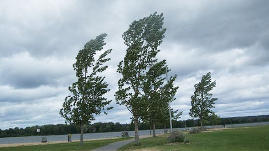 Milli Hidrometeorologiya Xidməti hava ilə bağlı əhaliyə xəbərdarlıq edib
