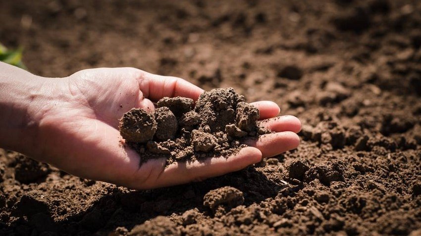 Azərbaycanda hüquqi şəxslərin torpaq vergisi üzrə proqnoz 6 %-ə yaxın azaldılır