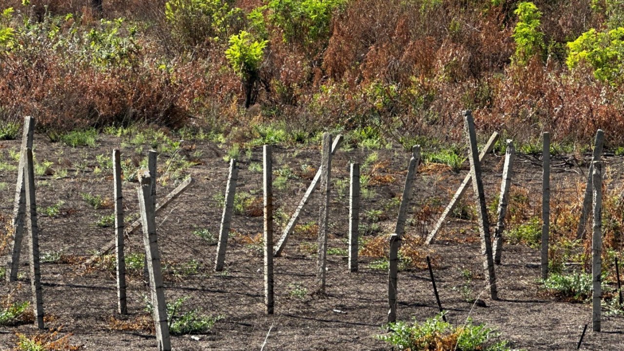 Azərbaycanda fiziki və hüquqi şəxslər minatəmizləmə fəaliyyəti ilə məşğul ola biləcək