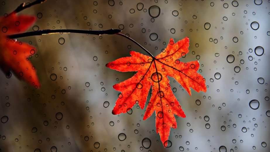 Oktyabrın 19-da ölkə ərazisində hava yağıntılı olacaq, şimşək çaxacaq