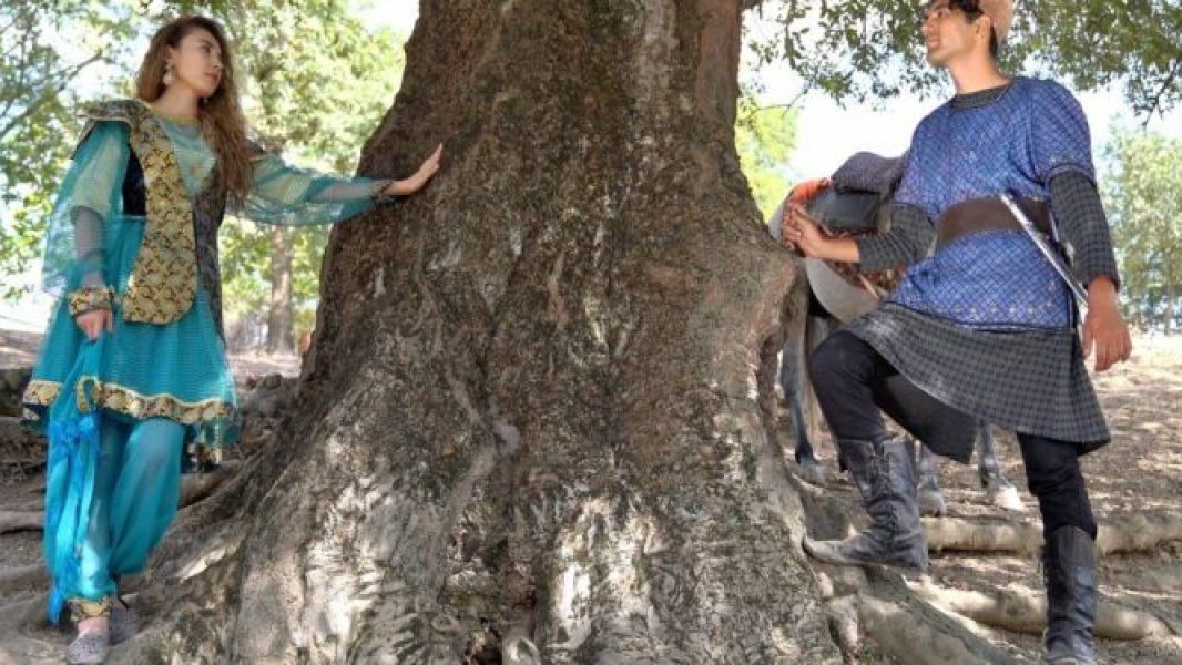 “Sarı gəlinin sorağında” filmi beynəlxalq festivalın xüsusi mükafatına layiq görülüb