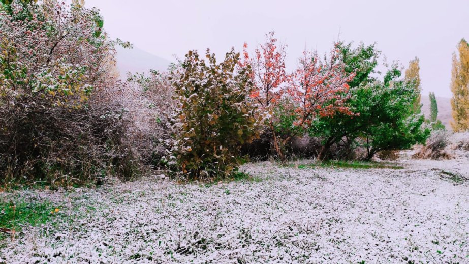Naxçıvana mövsümün ilk qarı yağıb