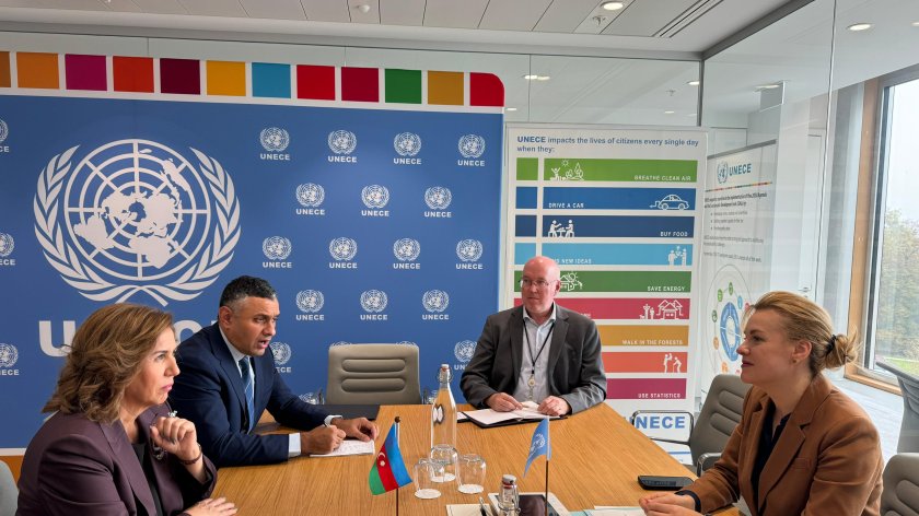 Ailə, Qadın və Uşaq Problemləri üzrə Dövlət Komitəsinin sədri BMT Baş katibinin müavini ilə görüşüb