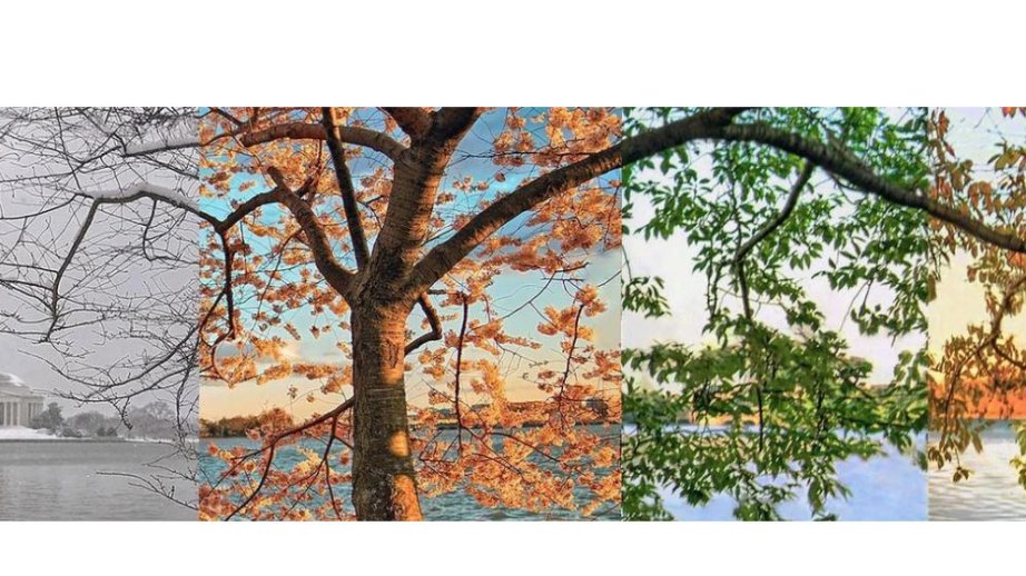 Gələn il fəsillərin Azərbaycana daxilolma vaxtları açıqlanıb