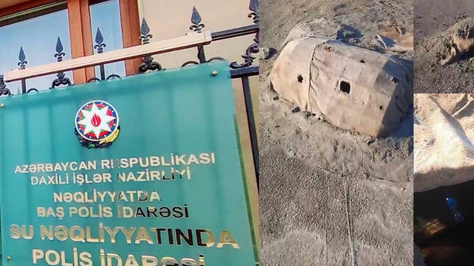 Adı “Qırmızı kitab”a düşən çöl quşunu ovlayan Qəmər Adaları vətəndaşı saxlanılıb