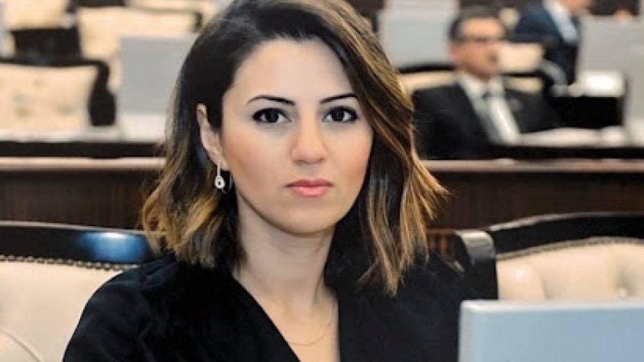 Deputat: Avropa Parlamentinin qəbul etdiyi qətnamələr Azərbaycan üçün heç bir önəm daşımır