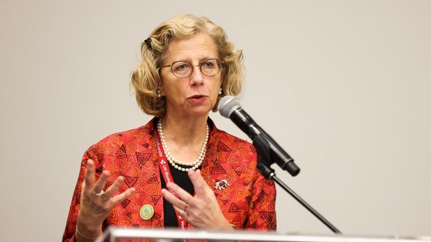 BMT Proqramının icraçı direktoru dünya ictimaiyyətini COP29-da qəbul olunacaq qərarların qəbuluna diqqət yetirməyə çağırıb