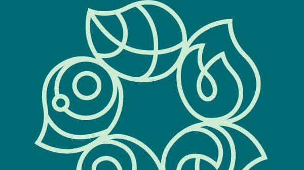 COP29: Bakıda doqquz yeni COP29 informasiya mərkəzi fəaliyyətə başlayacaq