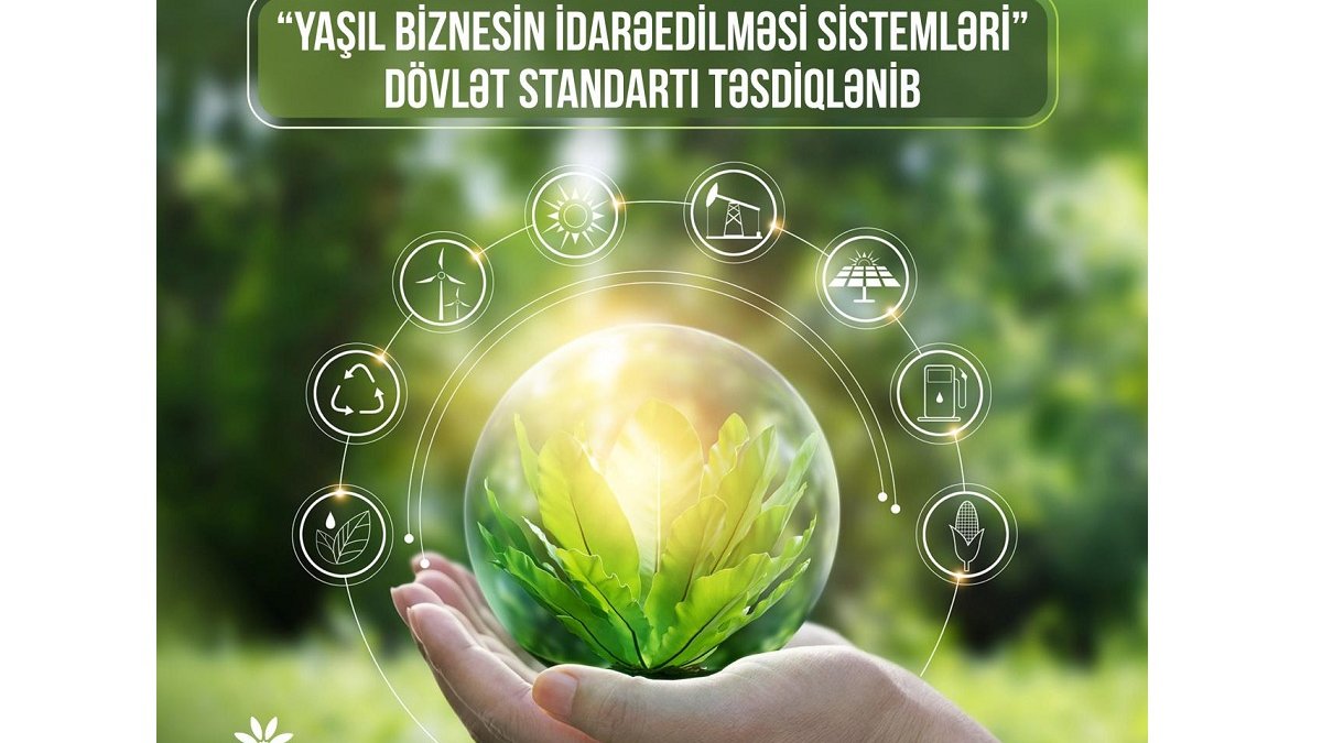 Yaşıl biznes necə olmalıdır?