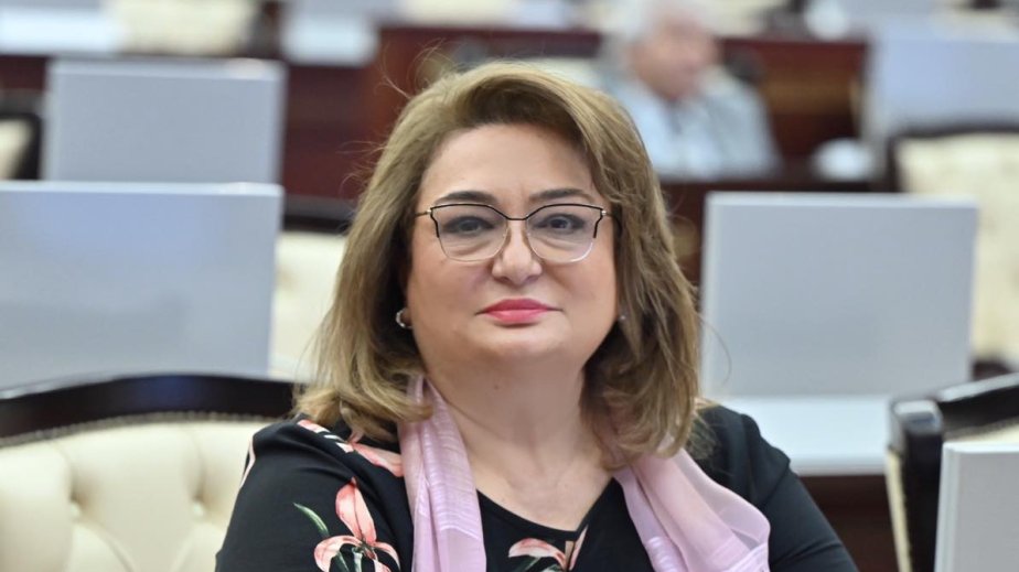 Avropa Parlamentinin qəbul etdiyi qətnamə Azərbaycanı haqlı mübarizədən çəkindirə bilməyəcək - ŞƏRH