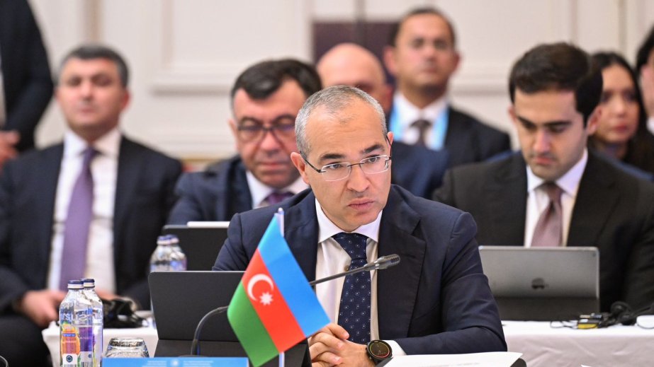 Azərbaycan TDT-yə üzv ölkələrin texnologiya transferi mərkəzlərinin yaradılmasını təklif edib