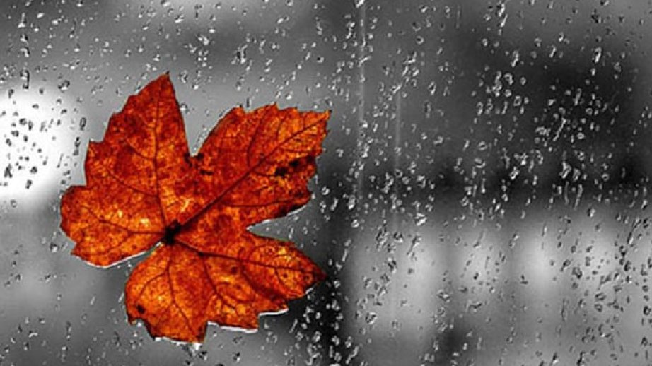 Günün birinci yarısında Bakıya və Abşeron yarımadasına düşən yağıntı aylıq normanın 30 faizini təşkil edib