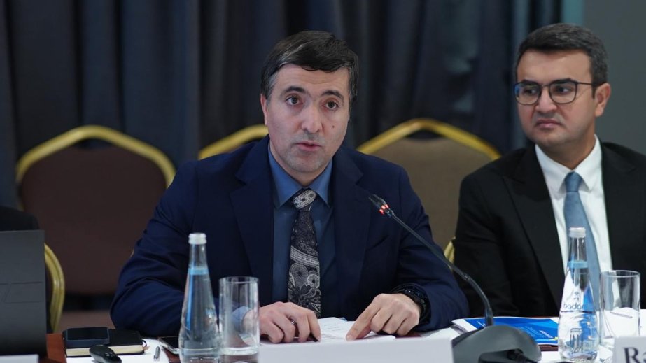 COP29: Azərbaycanın əsas məqsədi COP29-da real nəticələrin əldə edilməsidir - RƏY