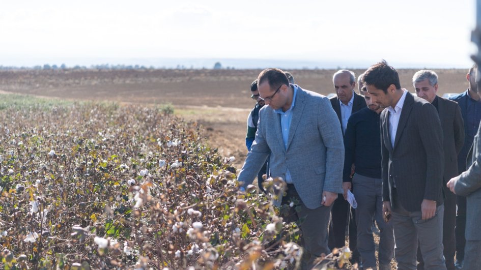 Kənd təsərrüfatı naziri Yevlax və Goranboyda pambıq sahələrinə baxış keçirib