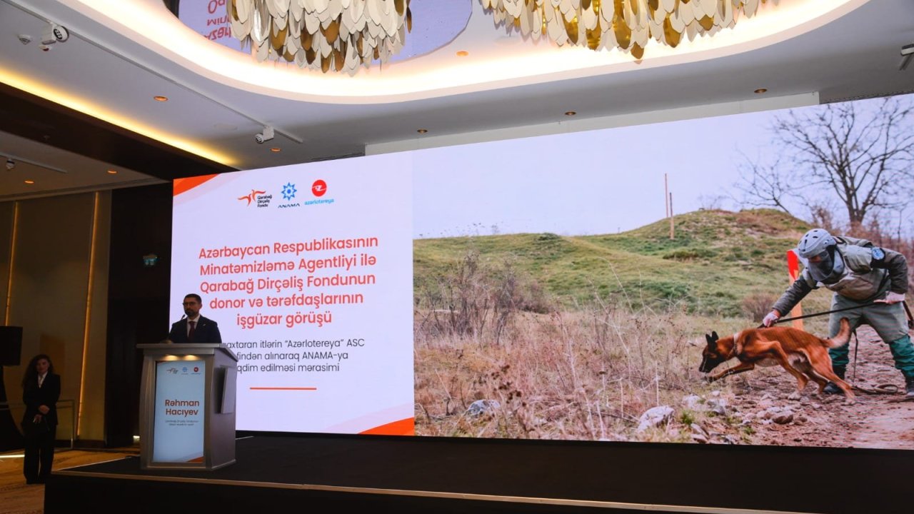 ANAMA-ya üç minaaxtaran it hədiyyə edilib