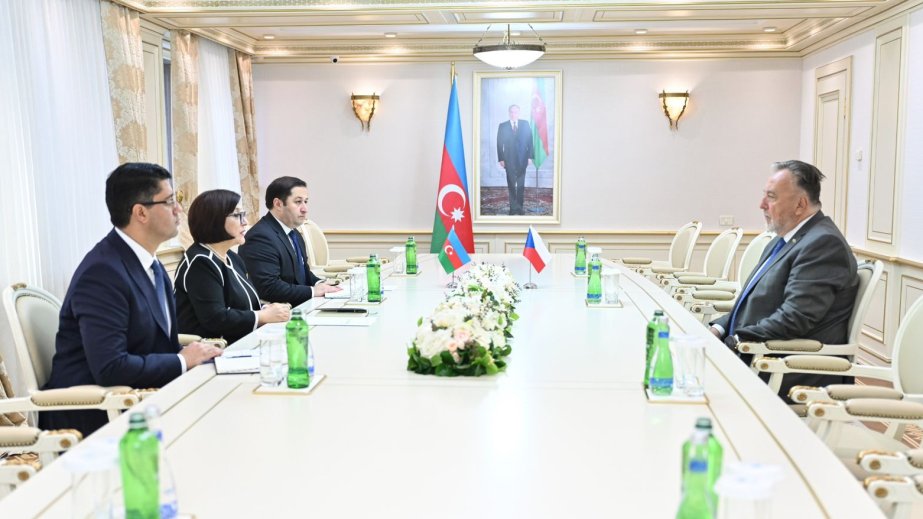 COP29:  Milan Sedlaçek: COP29 iqlim dəyişikliyi ilə bağlı qlobal əməkdaşlığın gücləndirilməsinə mühüm töhfə verəcək