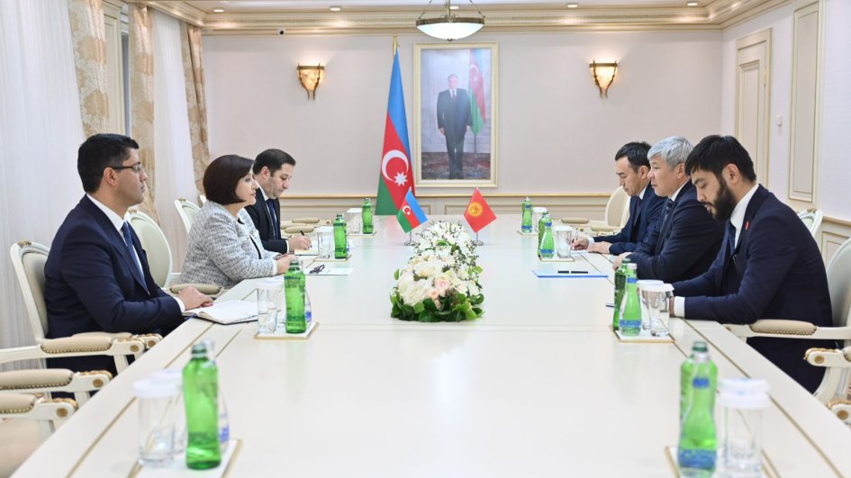 Qırğızıstanın səfiri: Qardaş ölkə Azərbaycanın əldə etdiyi bütün nailiyyətlərə sevinirik