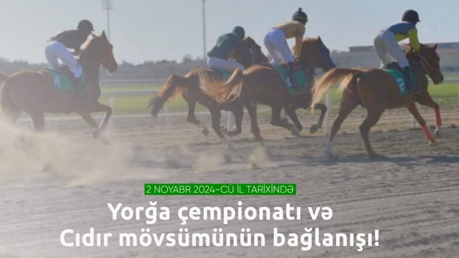 İDMAN:  Bakıda yorğa atların ölkə çempionatı keçiriləcək