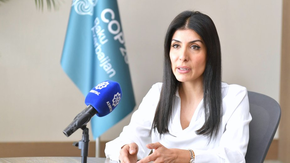 COP29-la bağlı hazırlıqlar demək olar ki, tamamilə yekunlaşıb - MÜSAHİBƏ