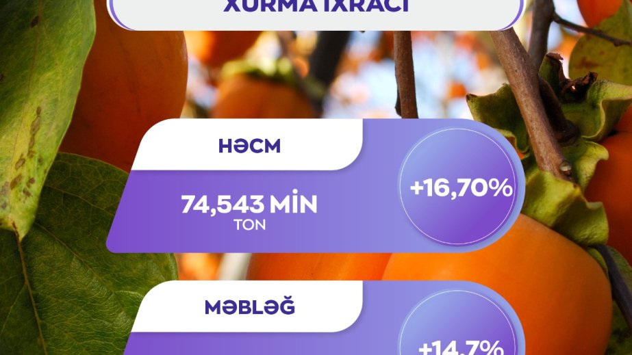 Azərbaycandan xarici bazarlara xurma ixracı 16,7 faiz artıb
