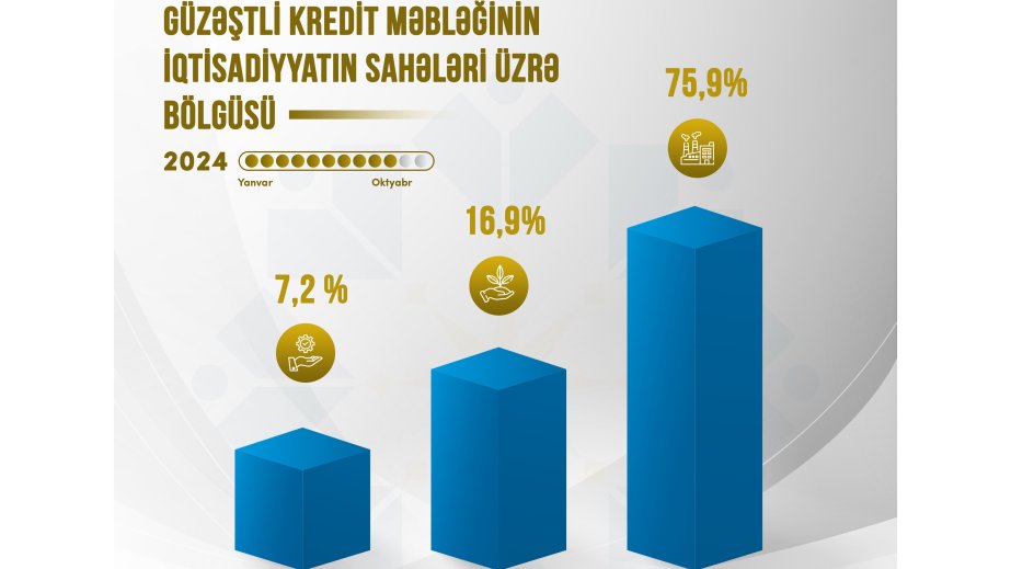 Naxçıvanda verilən kreditlərin 75,9 faizi sənaye sektorunun payına düşüb