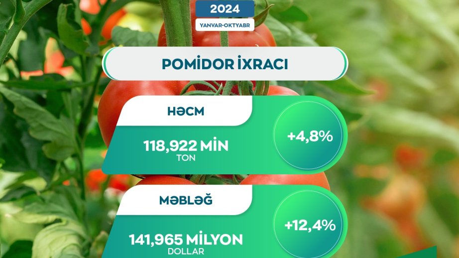 Bu il xarici bazarlara 142 milyon dollar dəyərində pomidor ixrac olunub