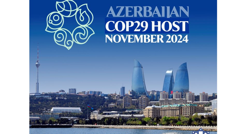 Dünya azərbaycanlıları COP29-un Azərbaycanda keçirilməsi ilə əlaqədar bəyanat yayıblar