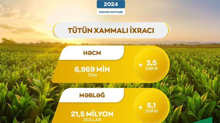 On ayda tütün xammalı ixracında 3,5 dəfə artım qeydə alınıb