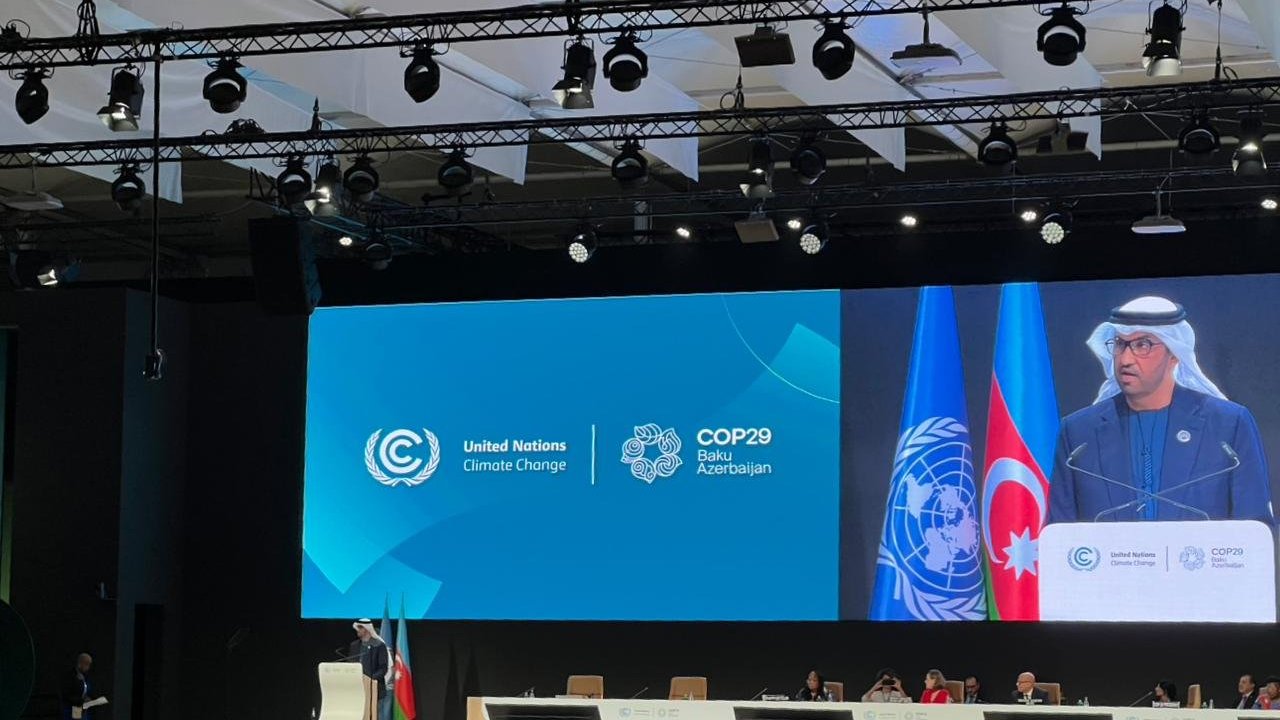 COP29 Azərbaycanda növbəti uğurunu qazanacaq - COP28 prezidenti
