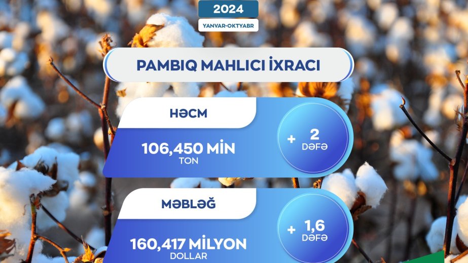 Azərbaycandan xarici bazarlara pambıq mahlıcı ixracı 2 dəfə artıb