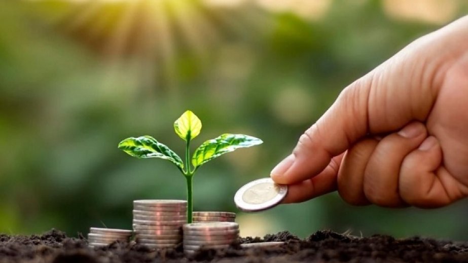 Mərkəzi Bank yaşıl taksonomiyanı təsdiq edib