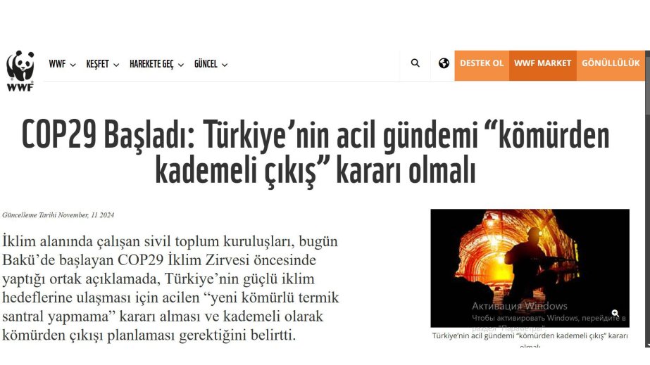 WWF-Türkiye: COP29 yeni MSMT prioritetlərinin aydın şəkildə müəyyənləşdirilməsi yolunda sonuncu böyük şansdır