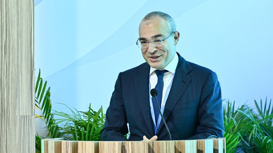 Nazir: “Yaşıl inkişaf portalı”nın istifadəyə verilməsi vacib praktiki təşəbbüslərdən biridir