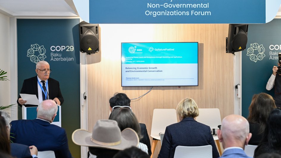 COP29: "Minatəmizləmə və kənd təsərrüfatı vasitəsilə sülh, torpaq və ekosistemlərin bərpası" mövzusunda panel keçirilib